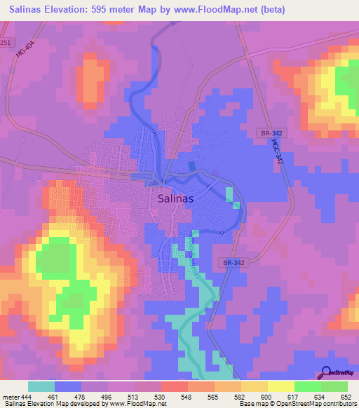 Salinas,Brazil Elevation Map