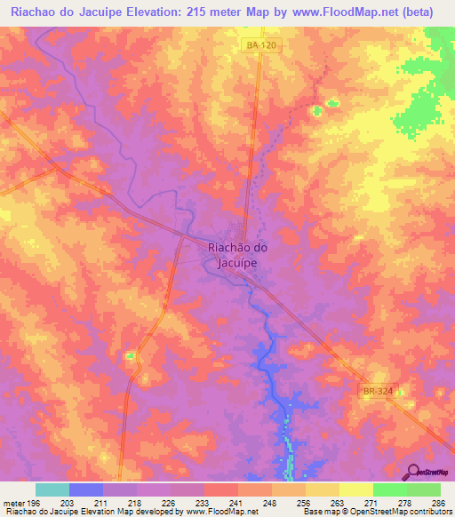 Riachao do Jacuipe,Brazil Elevation Map