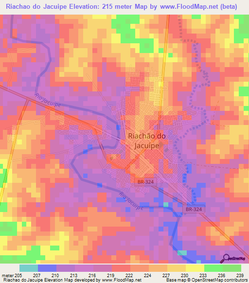 Riachao do Jacuipe,Brazil Elevation Map