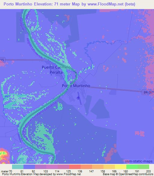 Porto Murtinho,Brazil Elevation Map