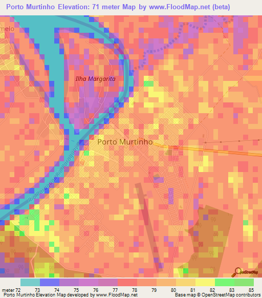 Porto Murtinho,Brazil Elevation Map