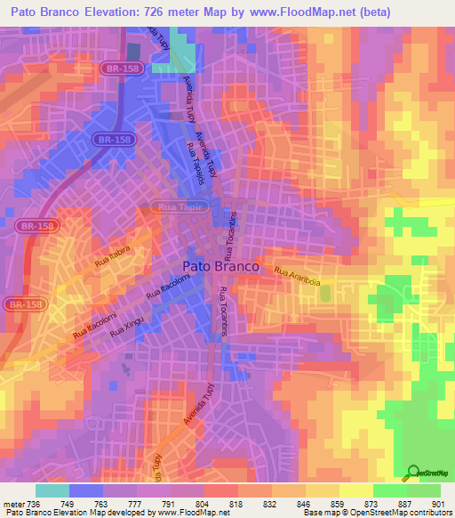 Pato Branco,Brazil Elevation Map