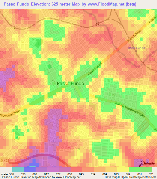 Passo Fundo,Brazil Elevation Map