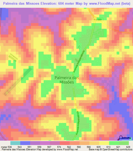 Palmeira das Missoes,Brazil Elevation Map