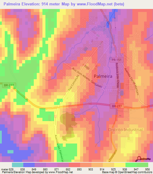 Palmeira,Brazil Elevation Map