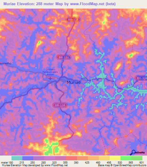 Muriae,Brazil Elevation Map