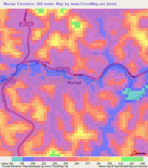 Muriae,Brazil Elevation Map