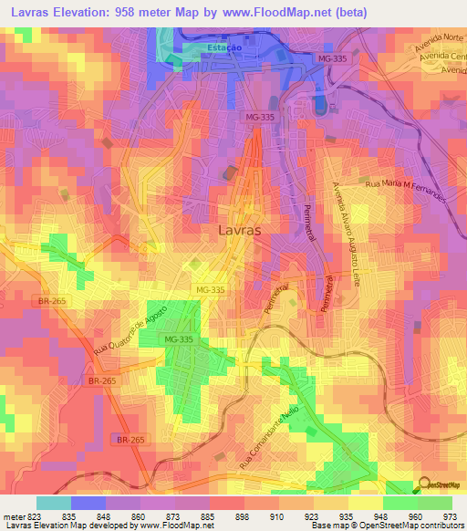 Lavras,Brazil Elevation Map