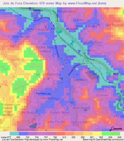 Juiz de Fora,Brazil Elevation Map