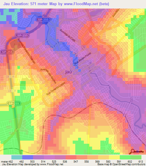 Jau,Brazil Elevation Map