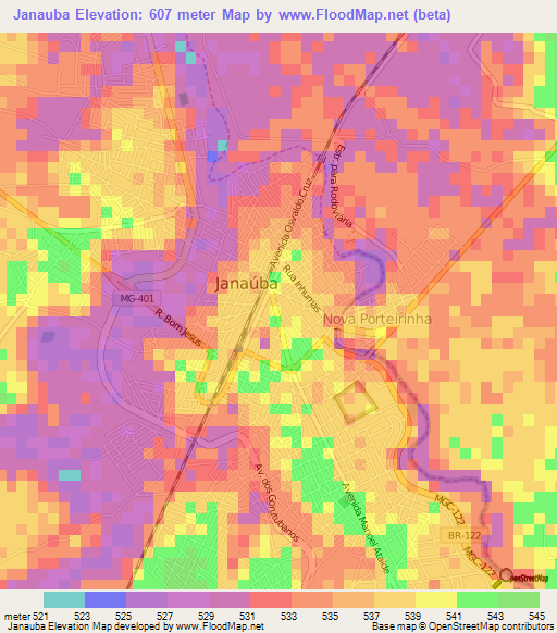 Janauba,Brazil Elevation Map