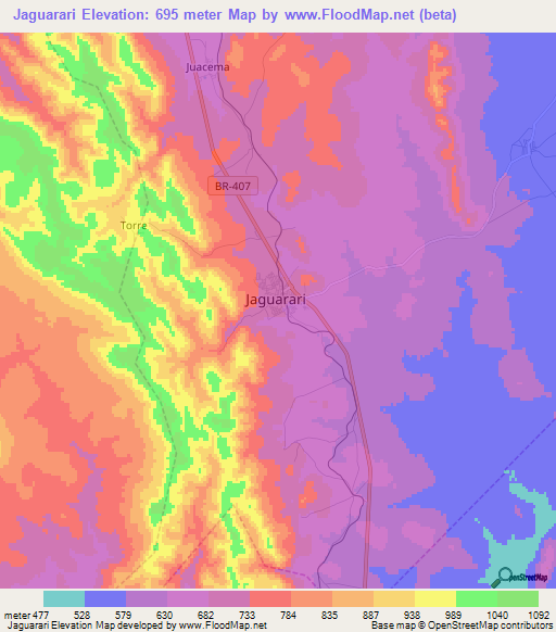 Jaguarari,Brazil Elevation Map