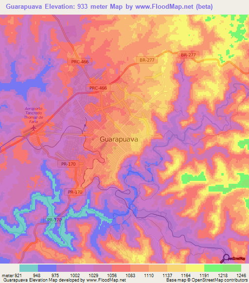 Guarapuava,Brazil Elevation Map