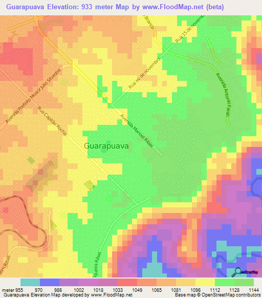 Guarapuava,Brazil Elevation Map