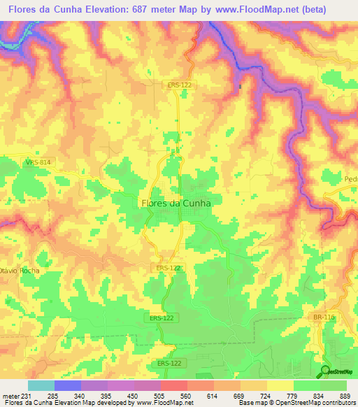 Flores da Cunha,Brazil Elevation Map