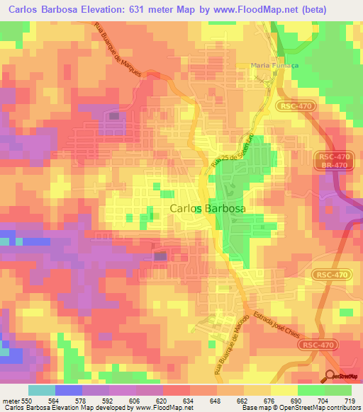 Carlos Barbosa,Brazil Elevation Map