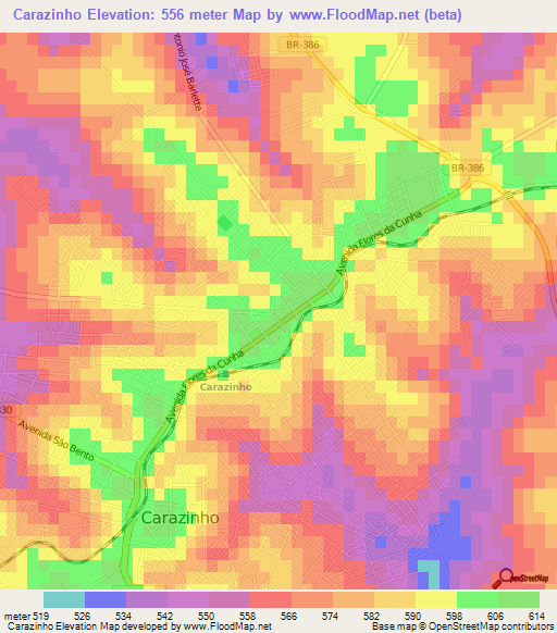 Carazinho,Brazil Elevation Map