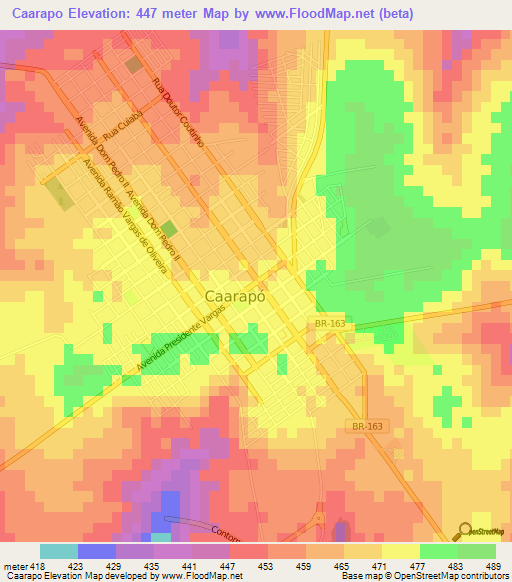 Caarapo,Brazil Elevation Map