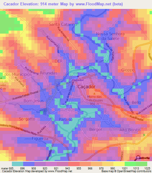 Cacador,Brazil Elevation Map