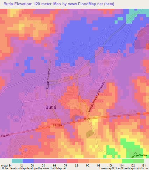 Butia,Brazil Elevation Map