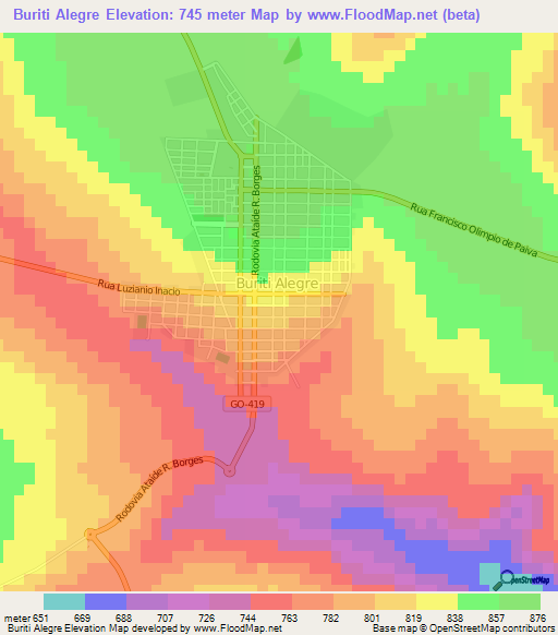 Buriti Alegre,Brazil Elevation Map