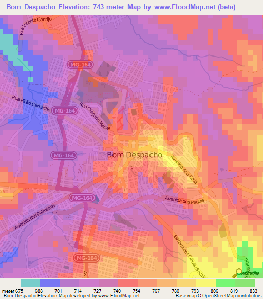 Bom Despacho,Brazil Elevation Map