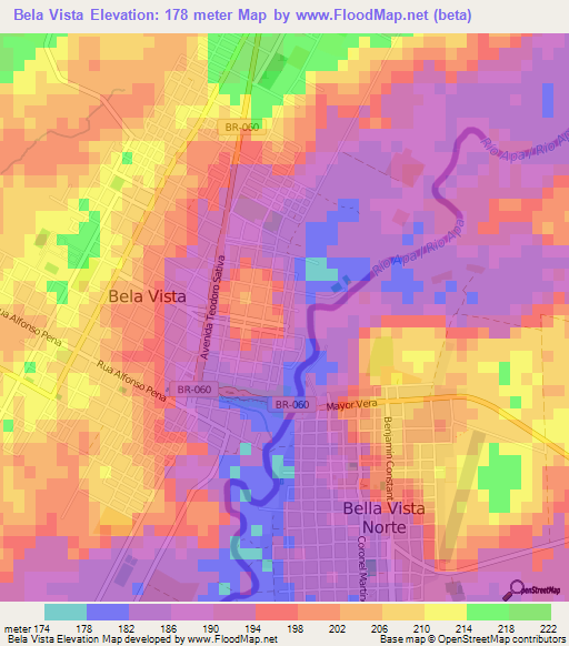 Bela Vista,Brazil Elevation Map