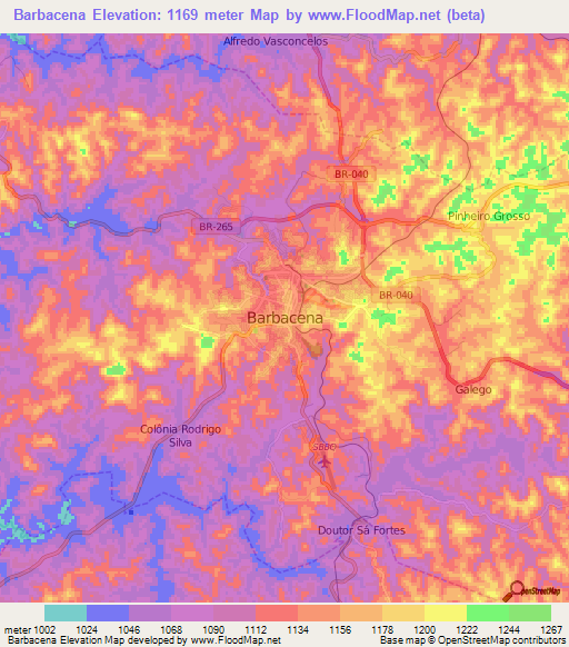 Barbacena,Brazil Elevation Map