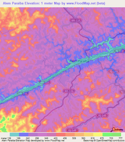 Alem Paraiba,Brazil Elevation Map