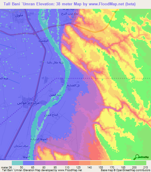 Tall Bani `Umran,Egypt Elevation Map