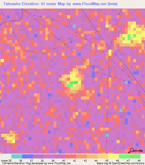 Tahnasha,Egypt Elevation Map