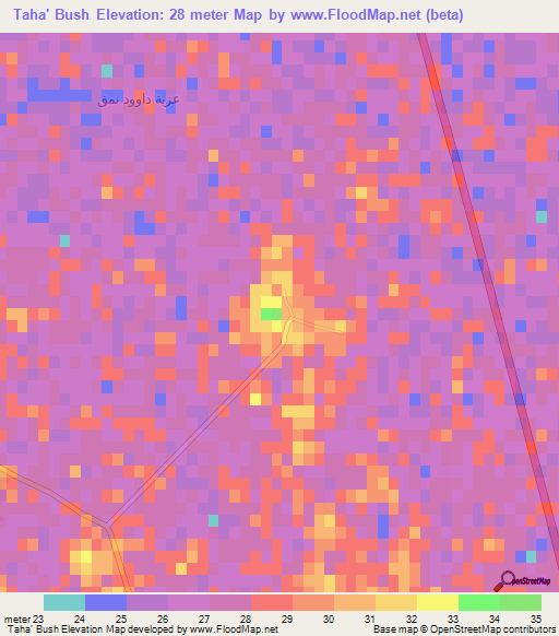 Taha' Bush,Egypt Elevation Map