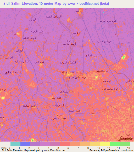 Sidi Salim,Egypt Elevation Map