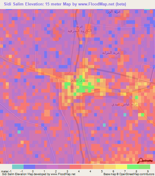 Sidi Salim,Egypt Elevation Map