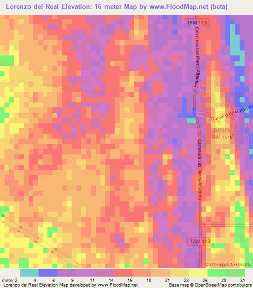 Lorenzo del Real,Mexico Elevation Map