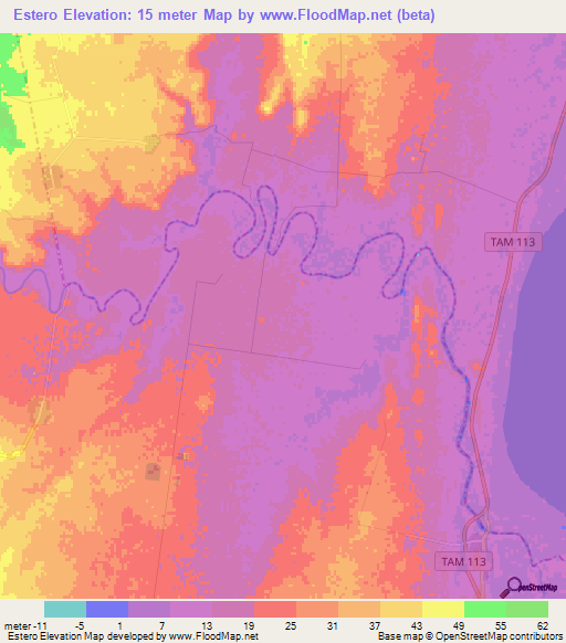 Estero,Mexico Elevation Map