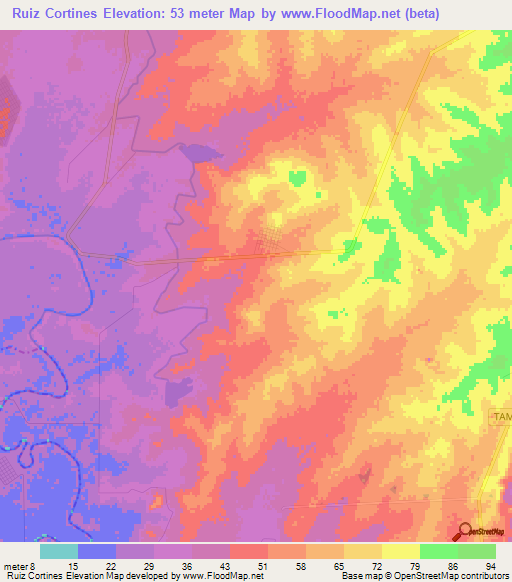 Ruiz Cortines,Mexico Elevation Map