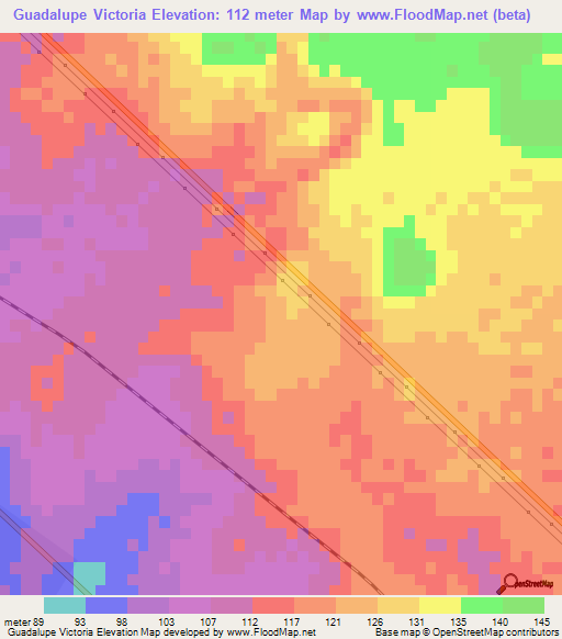 Guadalupe Victoria,Mexico Elevation Map