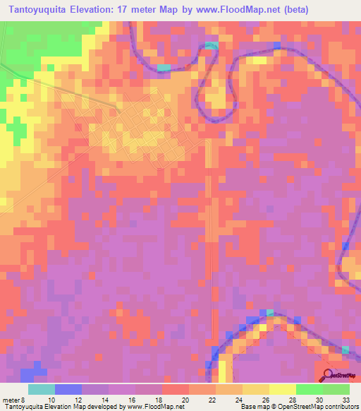 Tantoyuquita,Mexico Elevation Map