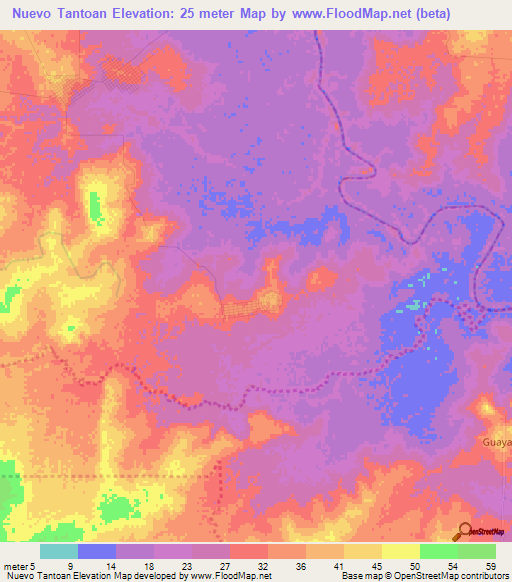 Nuevo Tantoan,Mexico Elevation Map