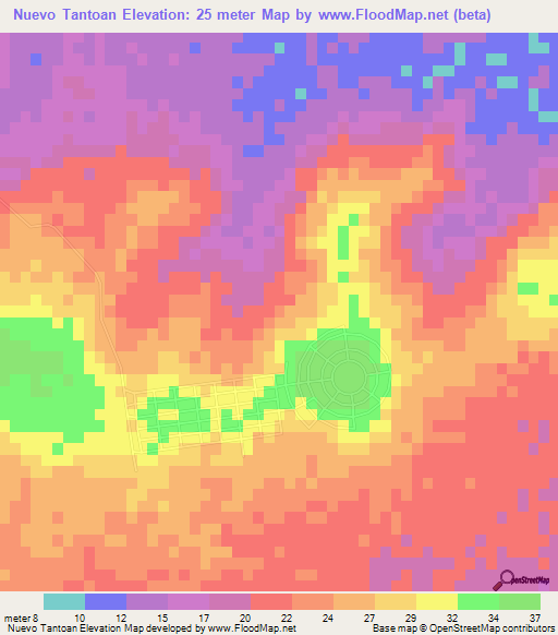 Nuevo Tantoan,Mexico Elevation Map