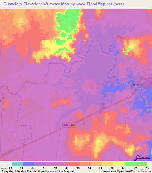 Guayalejo,Mexico Elevation Map