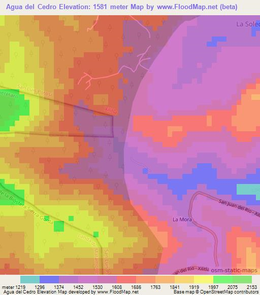 Agua del Cedro,Mexico Elevation Map