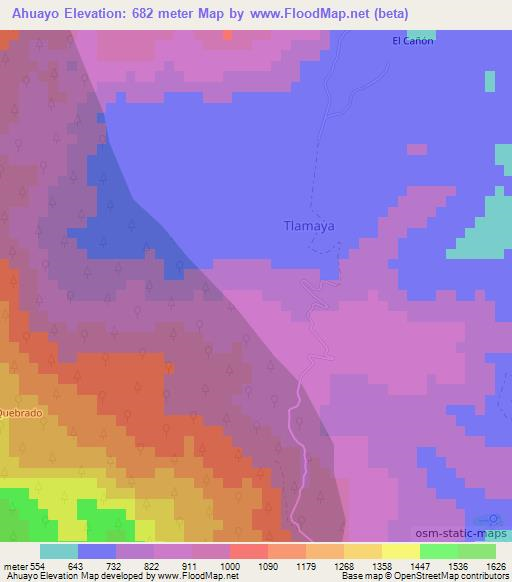 Ahuayo,Mexico Elevation Map