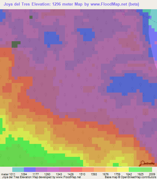 Joya del Tres,Mexico Elevation Map