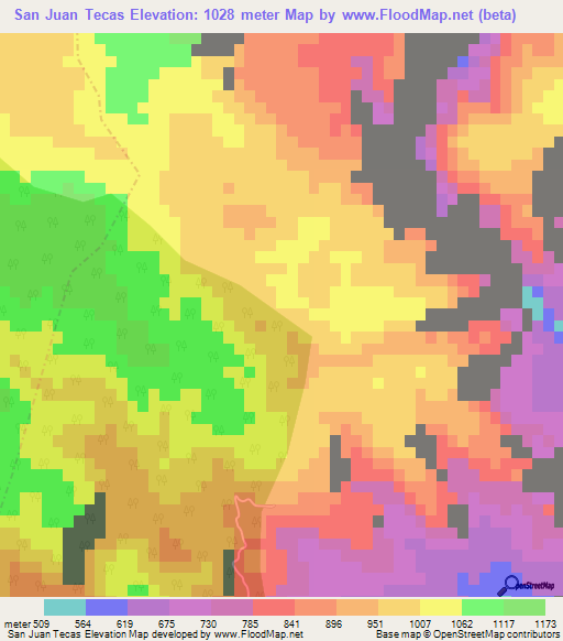 San Juan Tecas,Mexico Elevation Map