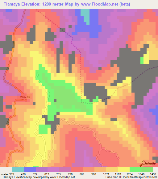 Tlamaya,Mexico Elevation Map