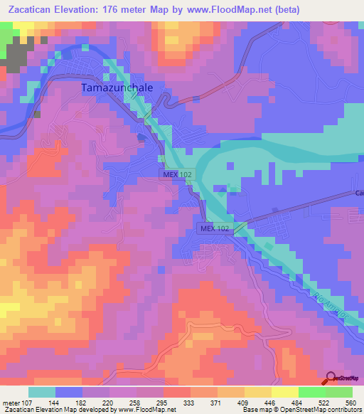 Zacatican,Mexico Elevation Map