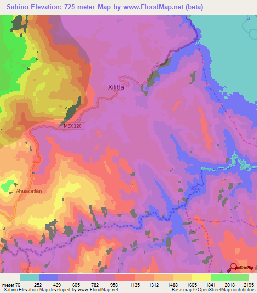 Sabino,Mexico Elevation Map