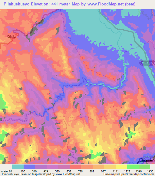 Pilahuehueyo,Mexico Elevation Map